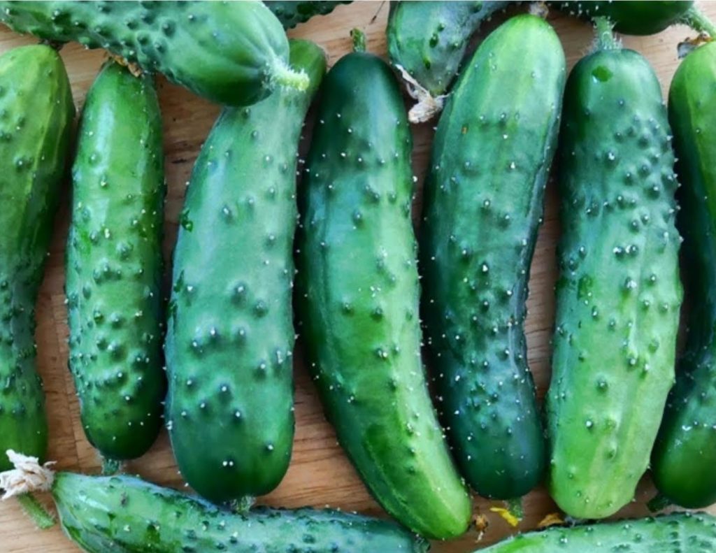 Got a Bumper Crop? We can help with that. Parkersburg & Wood County