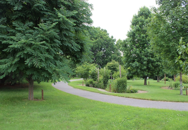 summer walk – Parkersburg & Wood County Public Library